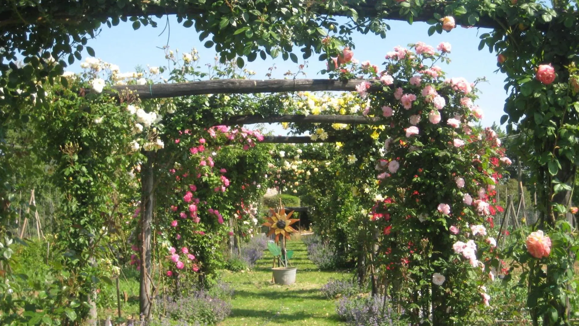 Maso Di Villa Relais Di Campagna Susegana Casa di campagna