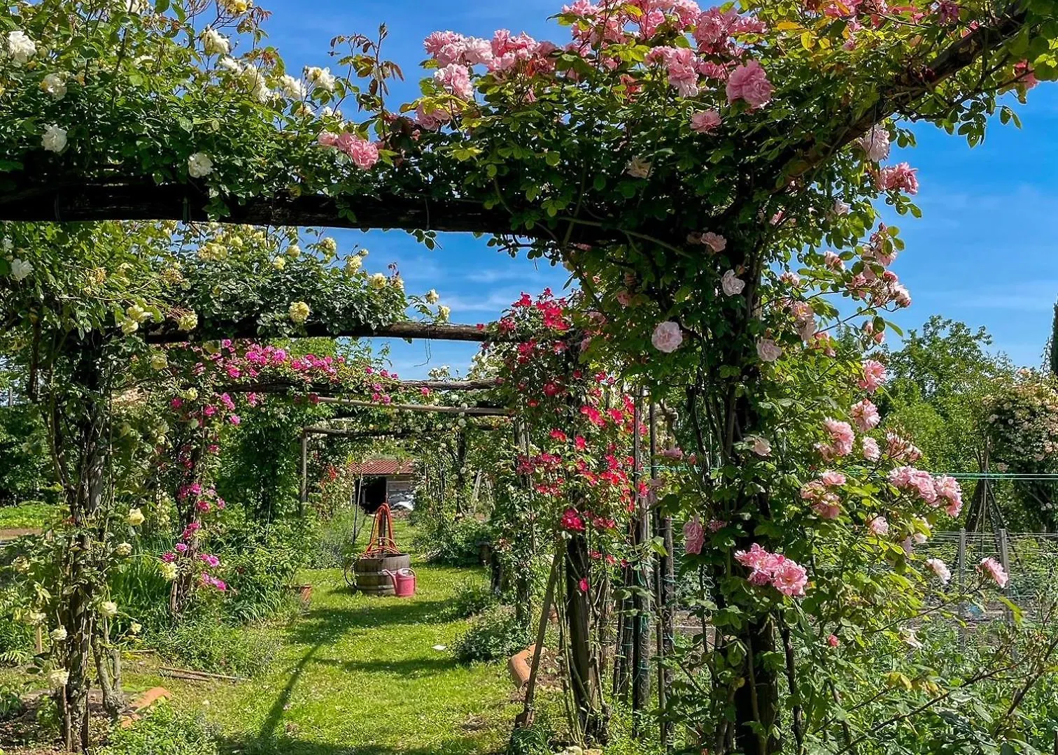 Maso Di Villa Relais Di Campagna Susegana Italia