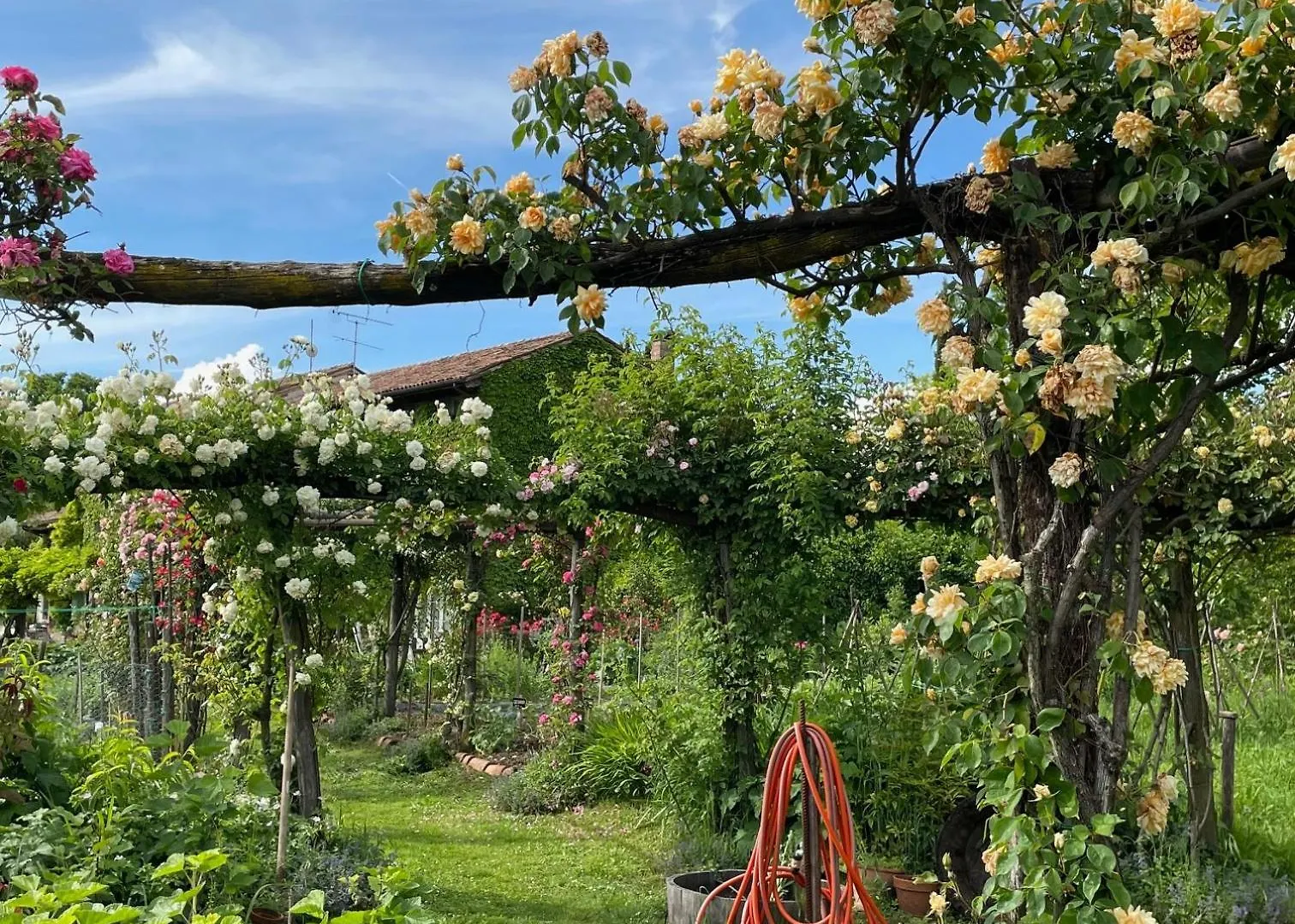 Maso Di Villa Relais Di Campagna Susegana Casa di campagna
