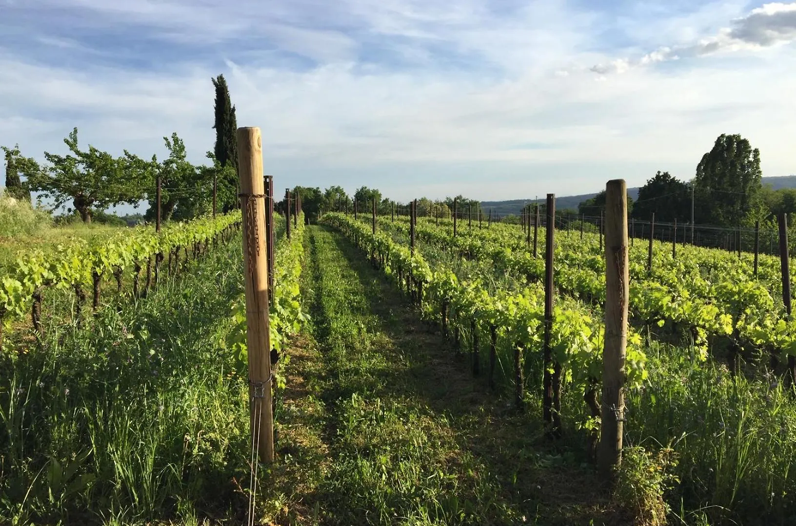 Maso Di Villa Relais Di Campagna Susegana Casa di campagna