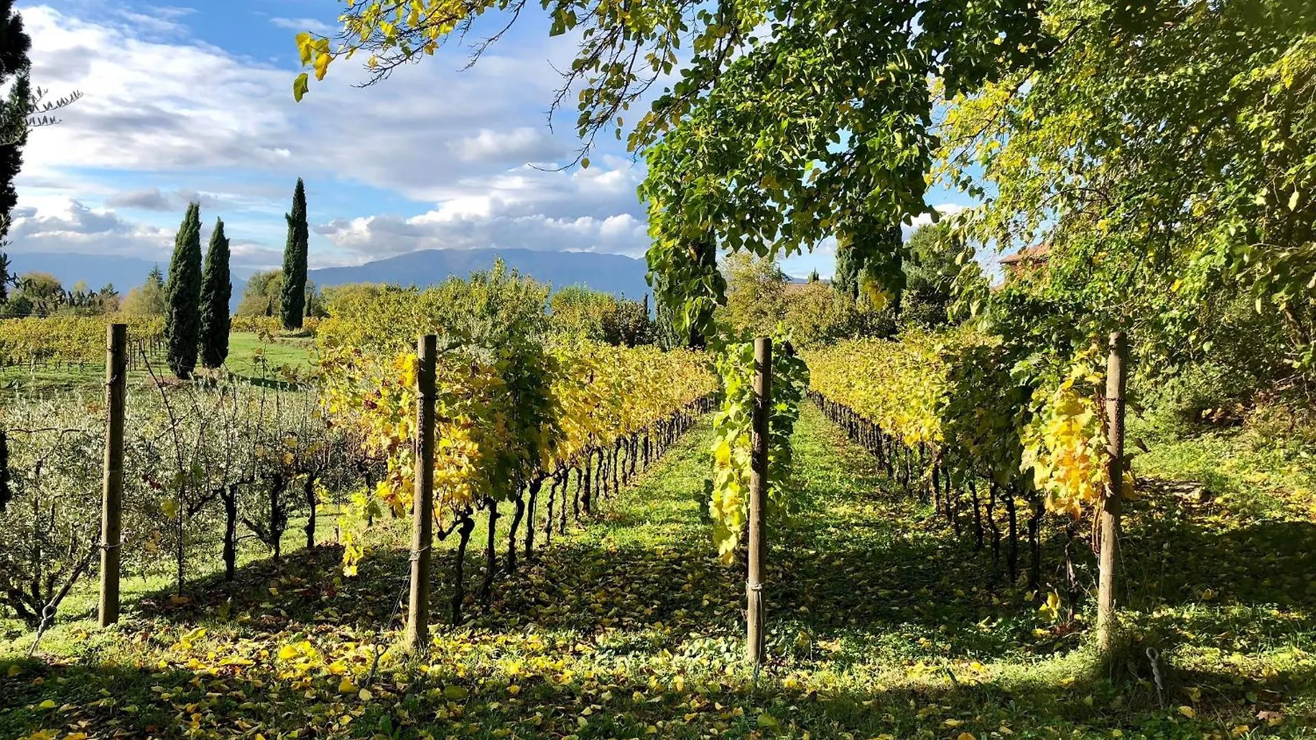 Casa di campagna Maso Di Villa Relais Di Campagna Susegana Italia